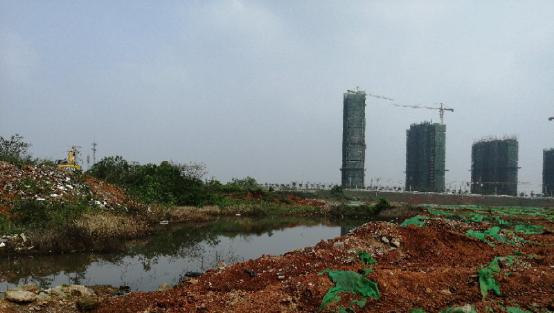 1558077713814836.jpg 圖片1.jpg